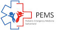 PEMS Logo